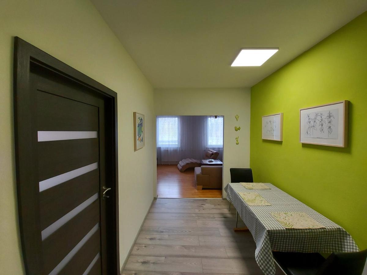 Apartman Eva - Plne Vybaveny Byt - Týn nad Vltavou Extérieur photo